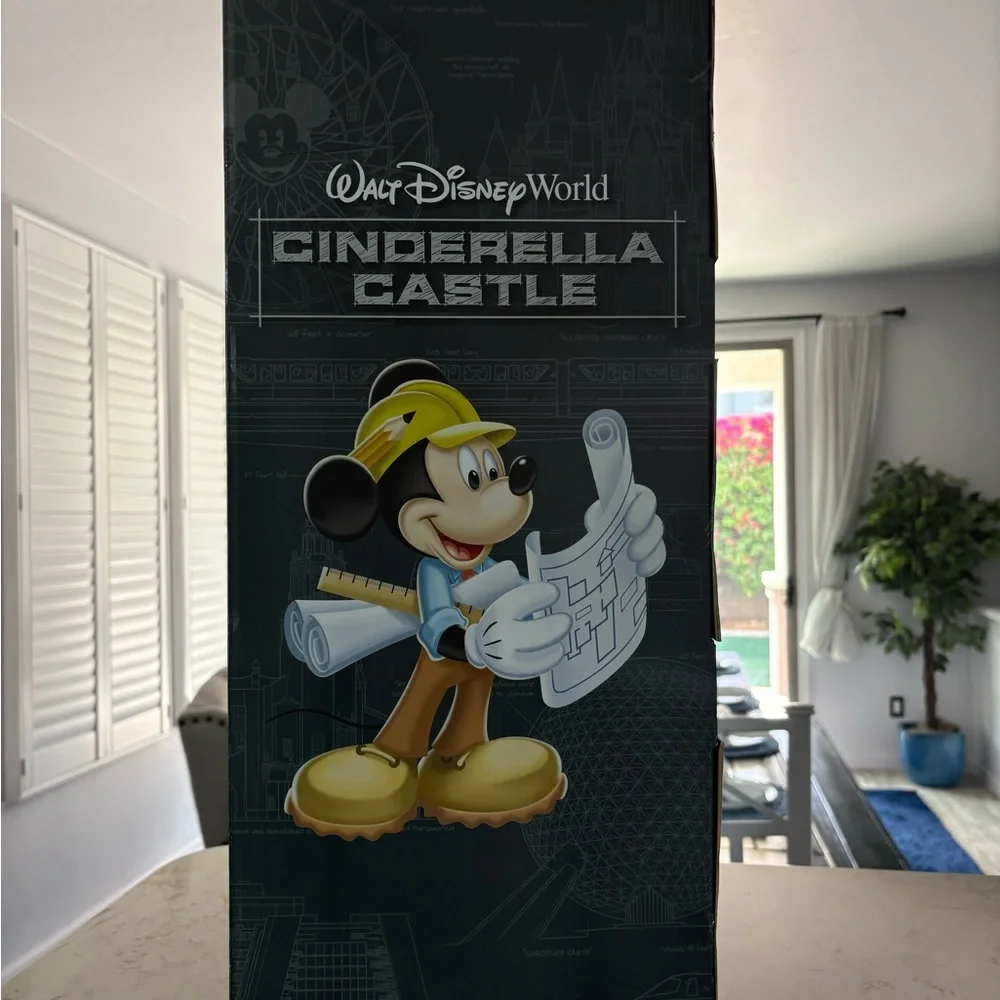 Disney questions leave